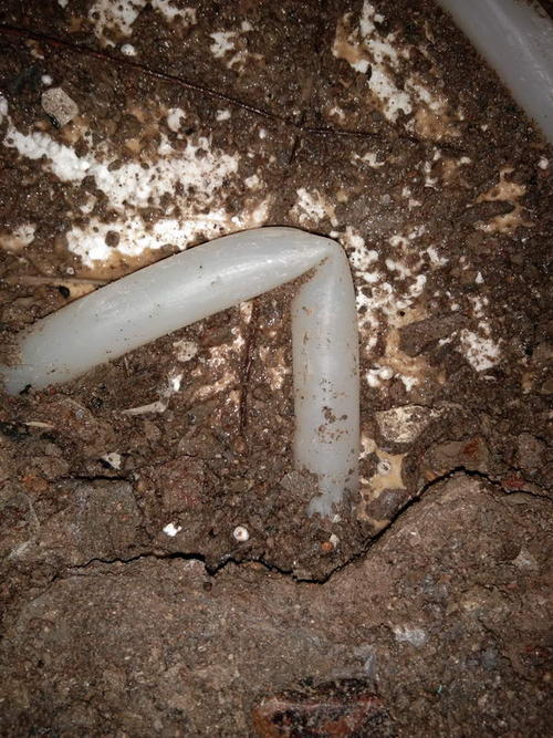 平乐堵点精准查找